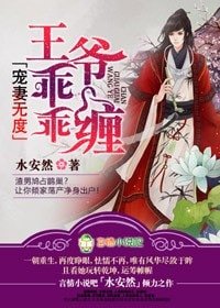宠妻无度,王爷乖乖缠