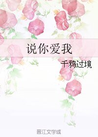 説你愛我