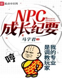 NPC成長紀要