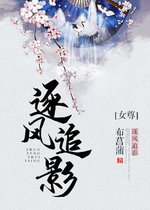 逐风追影(女尊)