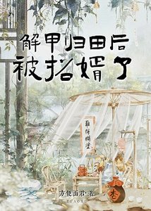解甲归田后,被招婿了