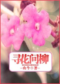 何寻，何寻