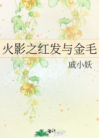 火影之红发与金毛